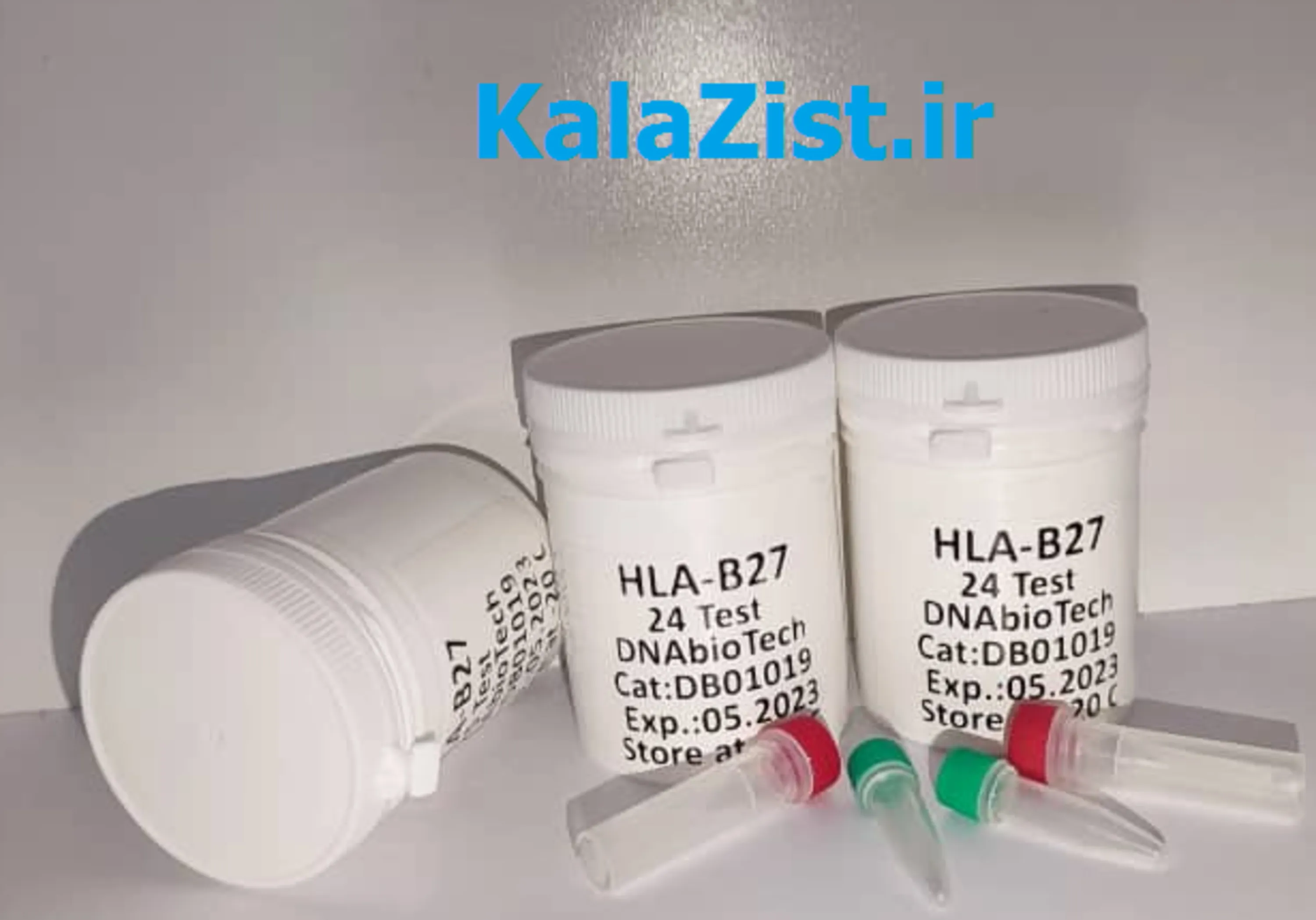کیت 24 تستی تشخیص HLA-B27 مولکولی  DNAbioTech کیت 24 تستی تشخیص HLA-B27 مولکولی  DNAbioTech